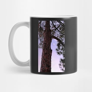 Pine Tree Mug